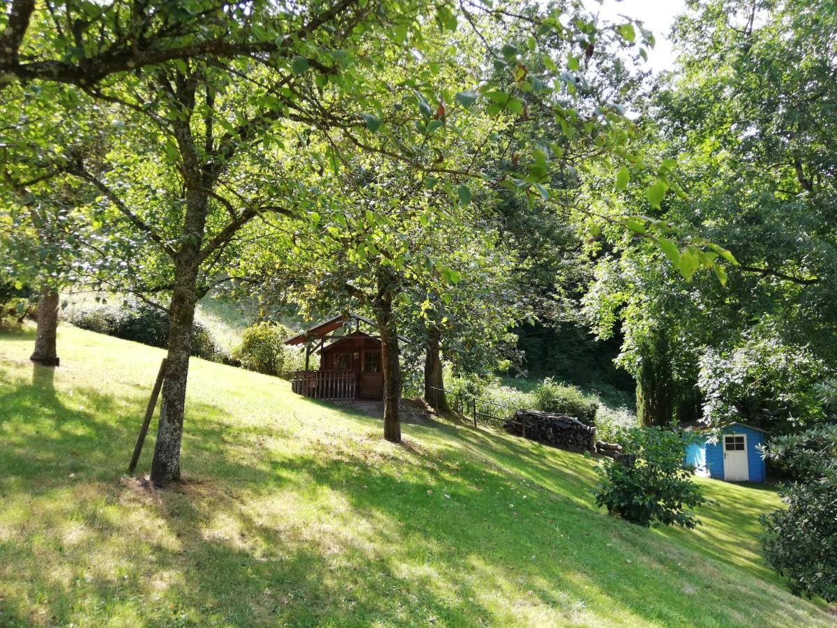 Chalet Madeleine - 160 qm Ferienhaus Baden-Baden Exterior foto